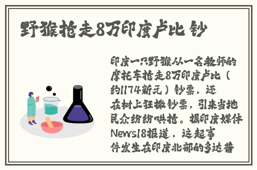 翰林府女销售免费吃瓜